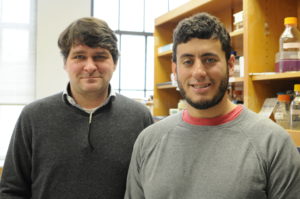 (Left to right) Steven Kosak, PhD, assistant professor of Cell and Molecular Biology, and Daniel Neems, ’16 PhD, studied how the human genome’s function is related to its form. 