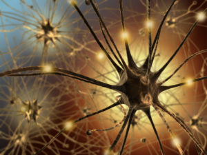 Northwestern Medicine scientists recorded electrochemical signals that neurons in the motor cortex send to learn about their stability over time.