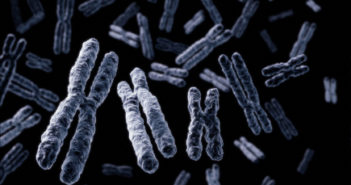 Telomere Changes Predict Cancer Chromosomes