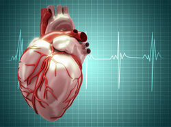 Research Shows Keeping Cardiovascular Risk Factors Low Adds Up to 14 Years to Life