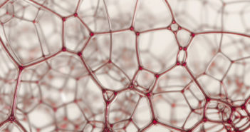 New Material with Built-in Vitamin A May Reduce Scarring Beautiful red lattice isolated over a blur background.