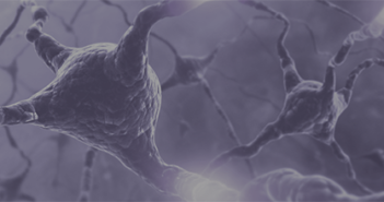 Investigating Protein Misfolding in Neurodegenerative Diseases Neurons_550-220