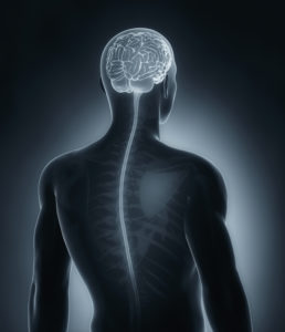 In the study, brain imaging revealed that patients with chronic pain following a back injury had a smaller hippocampus and amygdala compared to those who recovered from their injury and to healthy patients.