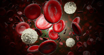 Identifying Blood Cell Contribution to Inflammation After Seizures Healthy human red and white bloodcells in close up 3d graphics render