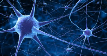 New Insights Into Signaling Pathway Could Lead to Novel Therapies for Neurological Disorders Active nerve cells