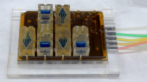 evatar-1