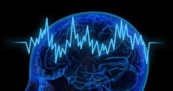 New Insights into How the Human Brain Processes Scent Very high resolution 3d rendering of an human haed showing brain.