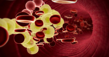 Exploring High Cholesterol’s Link with Psoriasis fat cell and erythrocyte in the blood, inside the blood vessel, High quality 3d render of blood cells