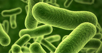 Toxic Genetic Material’s Origins Discovered bacteria_green_featured