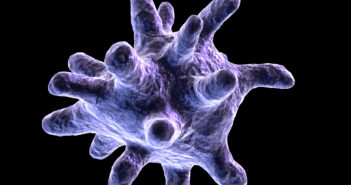 Scientists Investigate Protein’s Role in Lupus Development