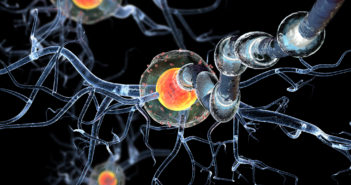 Testosterone-linked Molecule Explains Gender Differences in MS High quality 3d render of nerve cells,isolated on black background, concept for Neurologic Diseases, tumors and brain surgery.