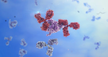 Mechanism Behind Autoimmune Disorder Revealed IG-g like Antibodies binding to a foreign protein.