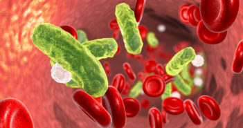 Scientists Discover Novel Treatment Target for Sepsis Sepsis, bacteria in blood. 3D illustration showing rod-shaped bacteria in blood with red blood cells and leukocytes