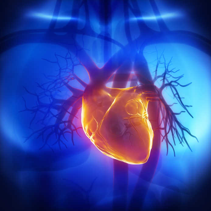 Thinning of Heart Muscle Wall Potentially Reversible