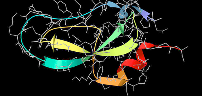 New Technique Used to Investigate Protein Refolding in Viruses