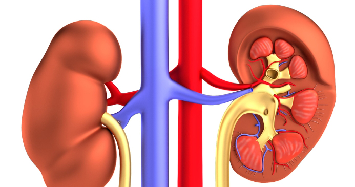 Equalizing Access to Kidney Transplants