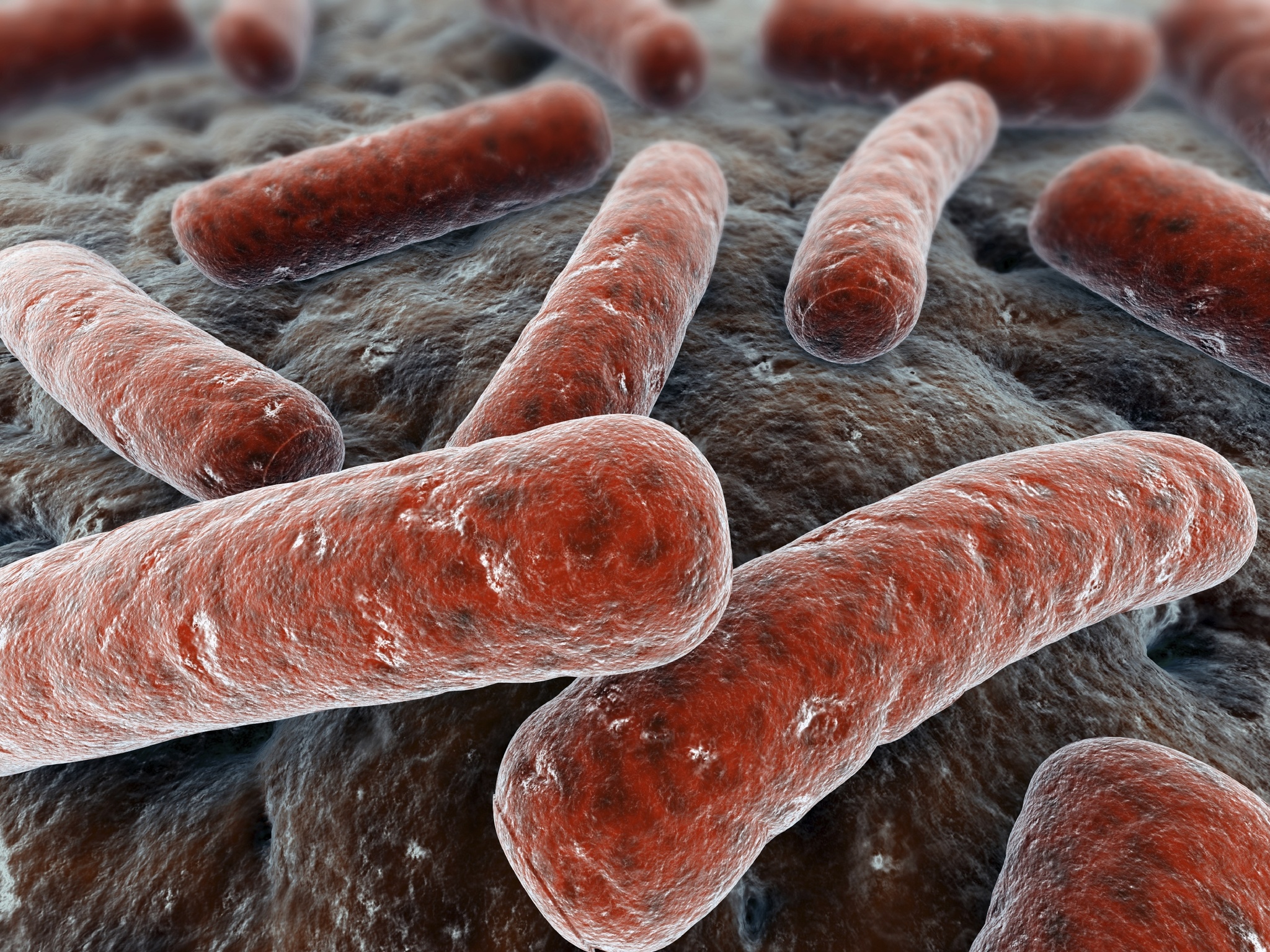 Exploring How Antibiotic-Resistant Bacteria Become Aggressive