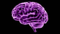 Early Marijuana Use Results in Abnormal Brain Structure, Poor Memory