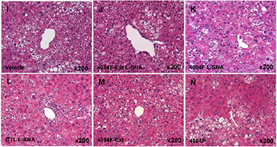 Using Spherical Nucleic Acids to Improve Immune System Therapies