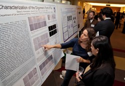 Annual Alzheimer Day Highlights Science, Realities of Disease