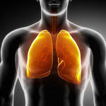 New Combination of Drugs Works Together to Reduce Lung Tumors in Mice