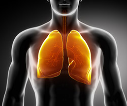 New Combination of Drugs Works Together to Reduce Lung Tumors in Mice