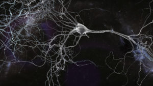 neuron space