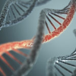 Study Shows Epigenetic Modification is Central for Tumor Metastasis
