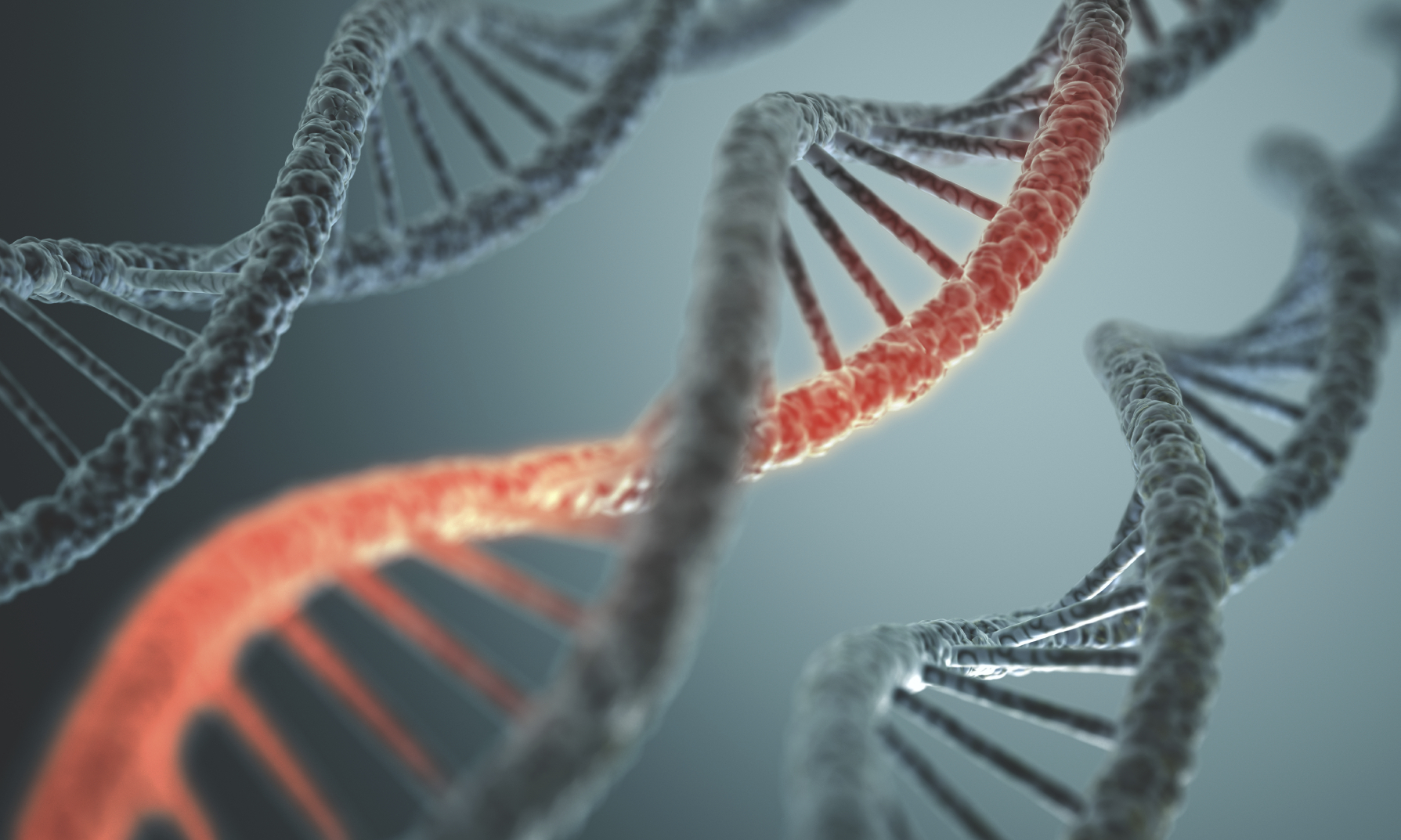 Study Shows Epigenetic Modification is Central for Tumor Metastasis