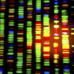 Genetic Testing for Epilepsy Improves Patient Outcomes