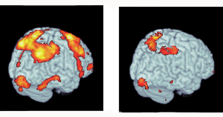 Mapping the Stages of Motor Memory