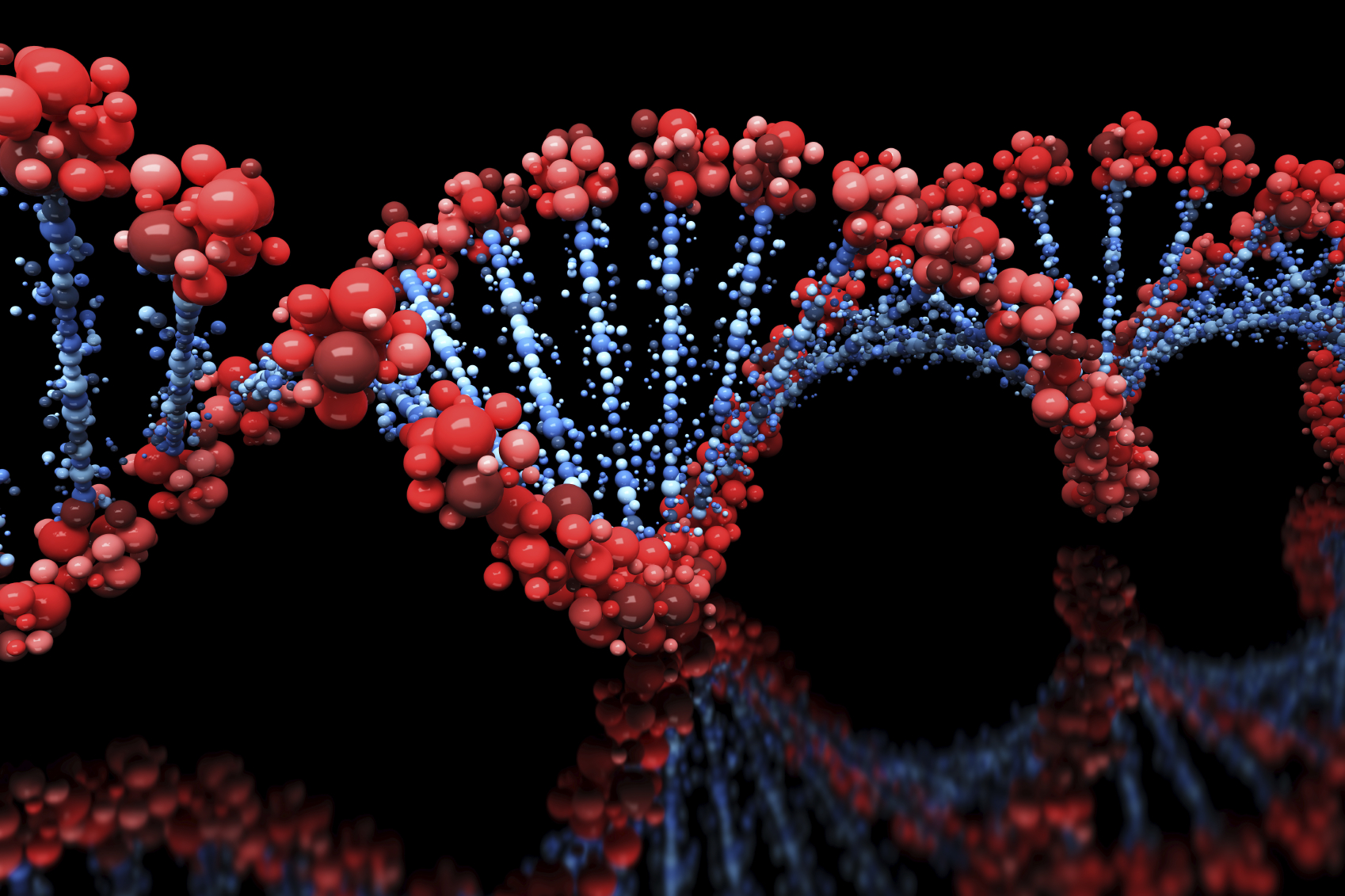 Chromatin Organizes Itself Into 3D ‘Forests’ in Single Cells