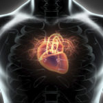 New Genetic Variants Associated with Resting Heart Rate and Cardiovascular Disease Risk 
