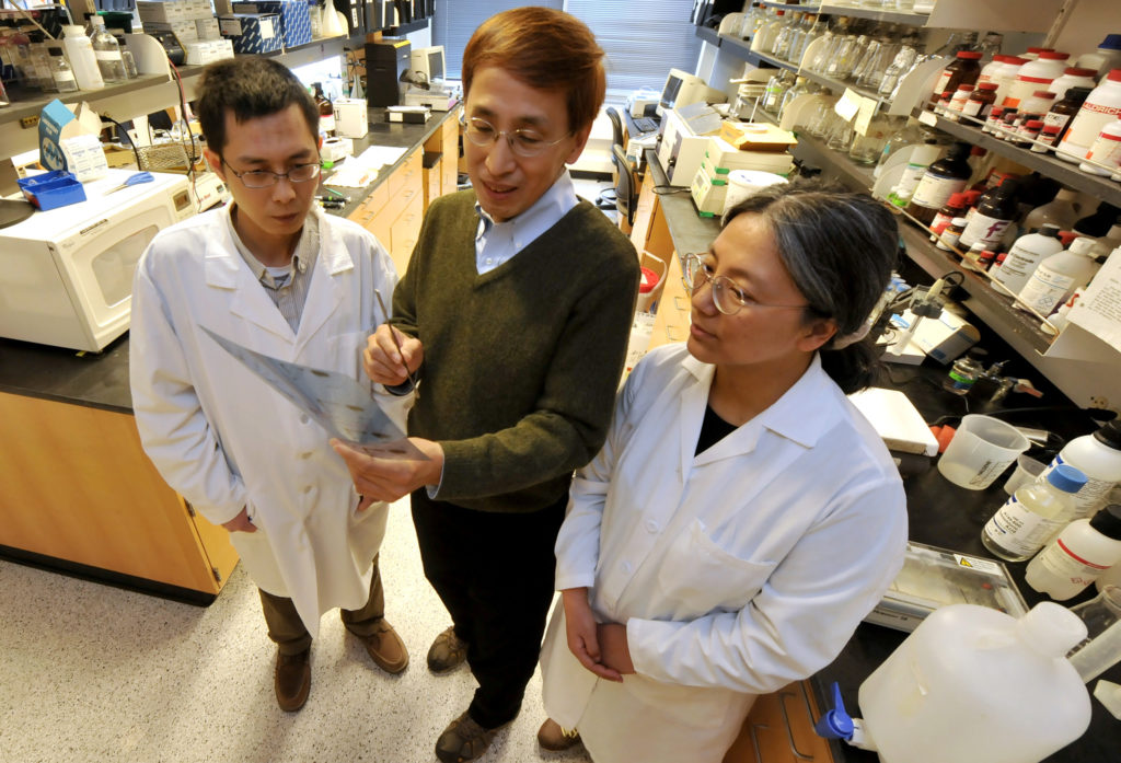 From left to right: First author Xianpeng Liu, PhD, a senior post-doctoral fellow in the Department of Pharmacology, lead author Hiroaki Kiyokawa, MD, PhD, professor of Pharmacology and Pathology, and co-author Limin Sun, a research technologist, in their lab.