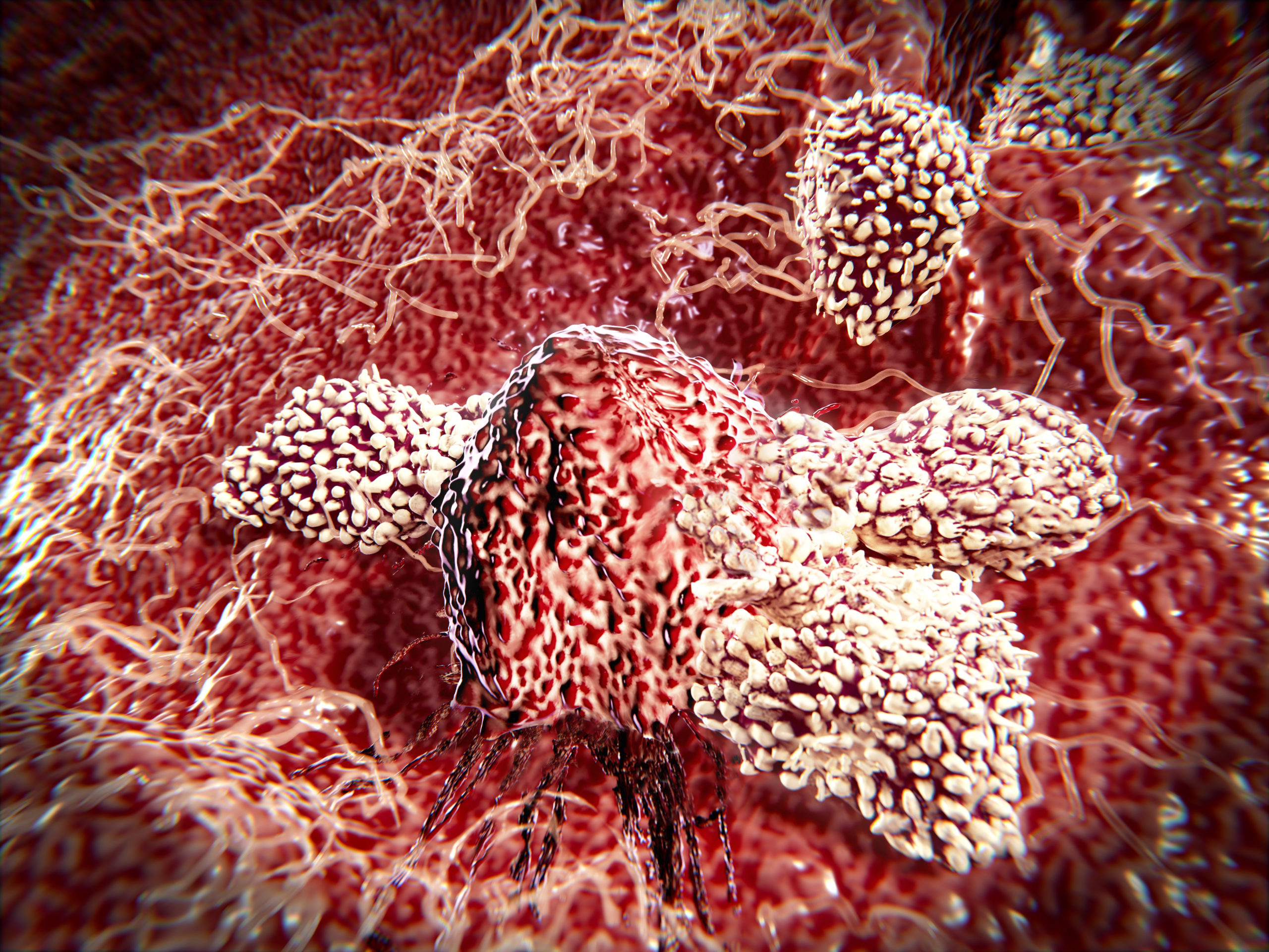 ‘Rewired’ Cells Show Promise For Targeted Cancer Therapy