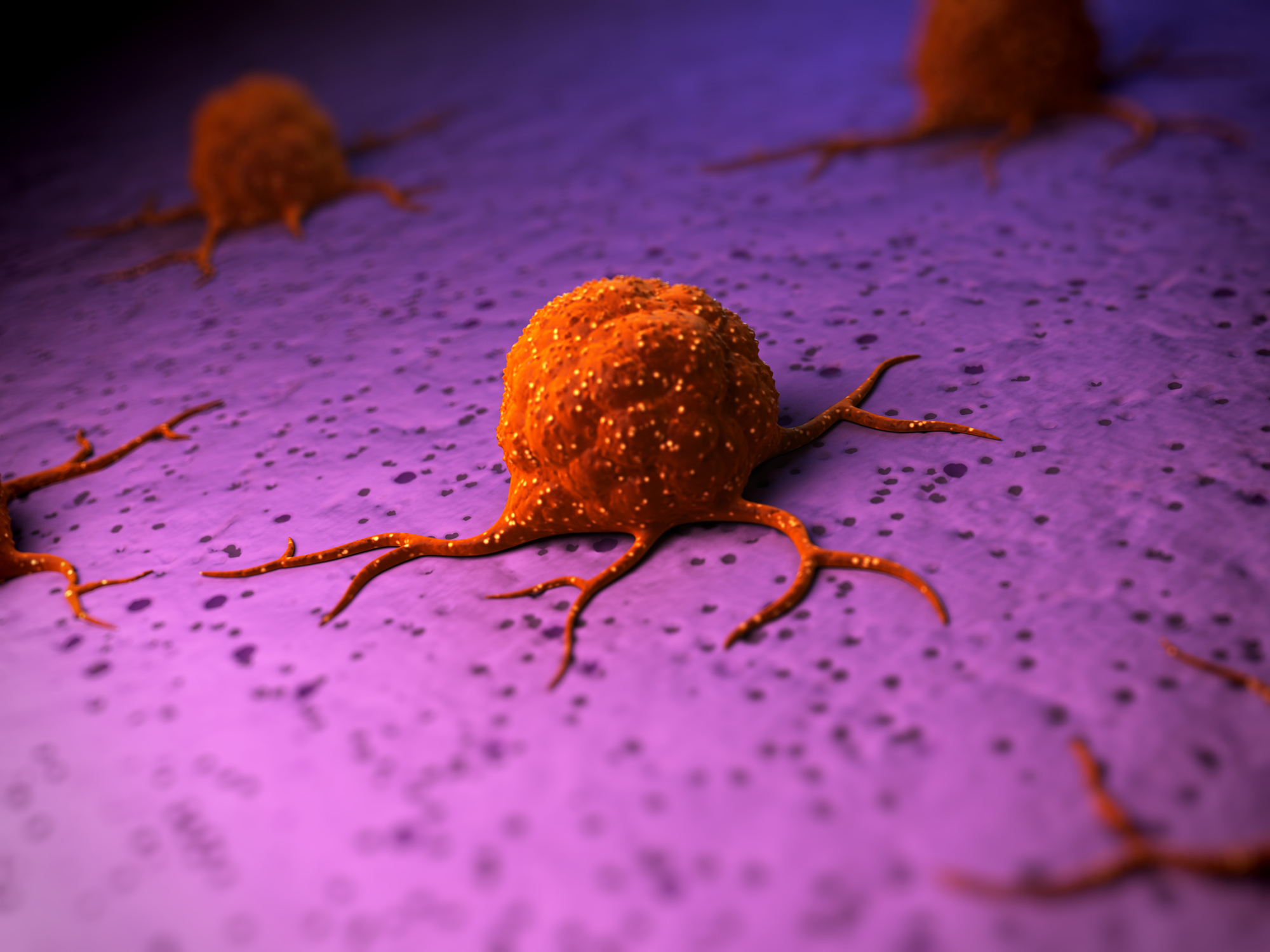 A New Weapon Against Cancer Metastasis