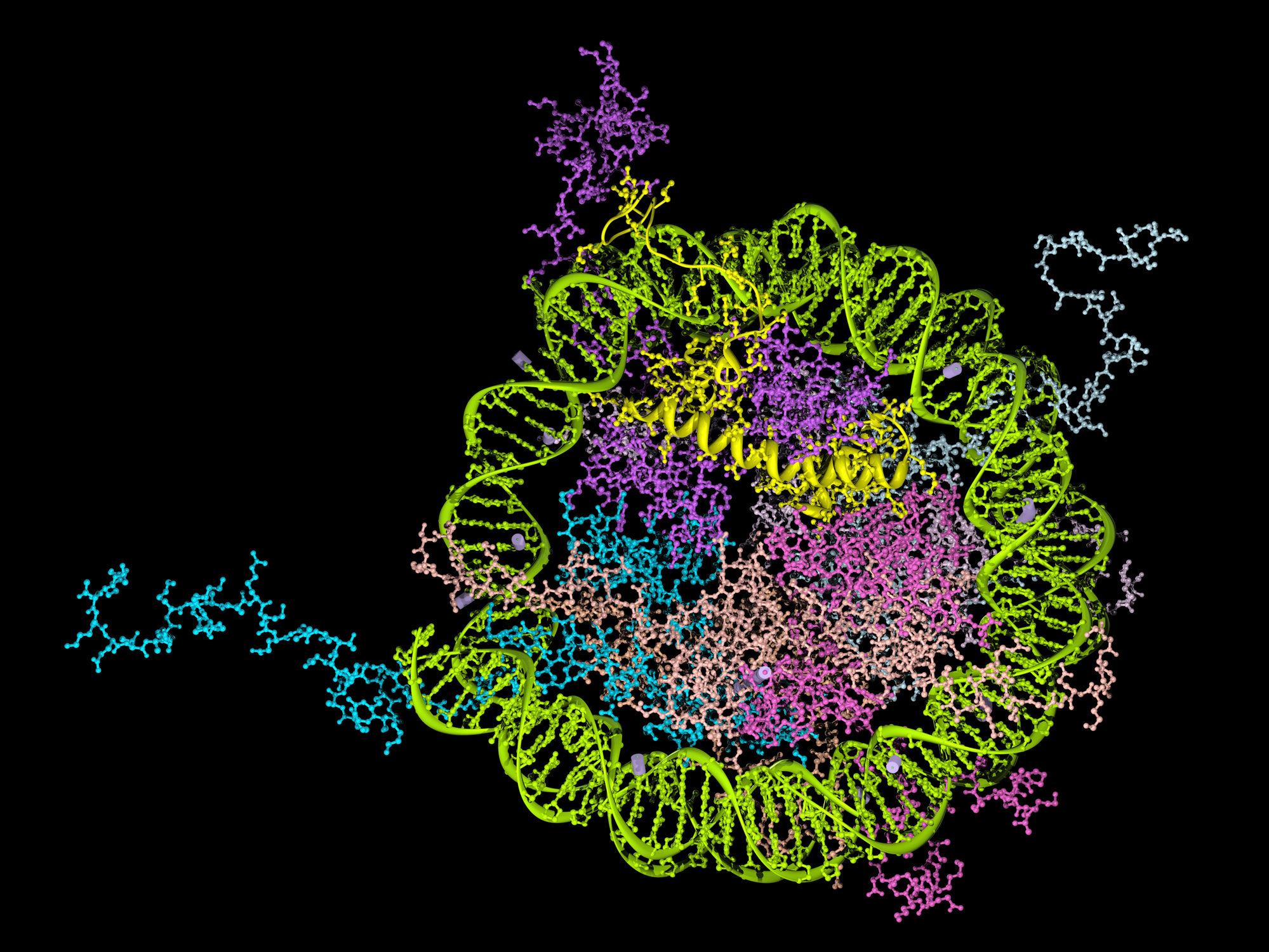 Insights Into Key Molecular Process Underlying Many Cancers