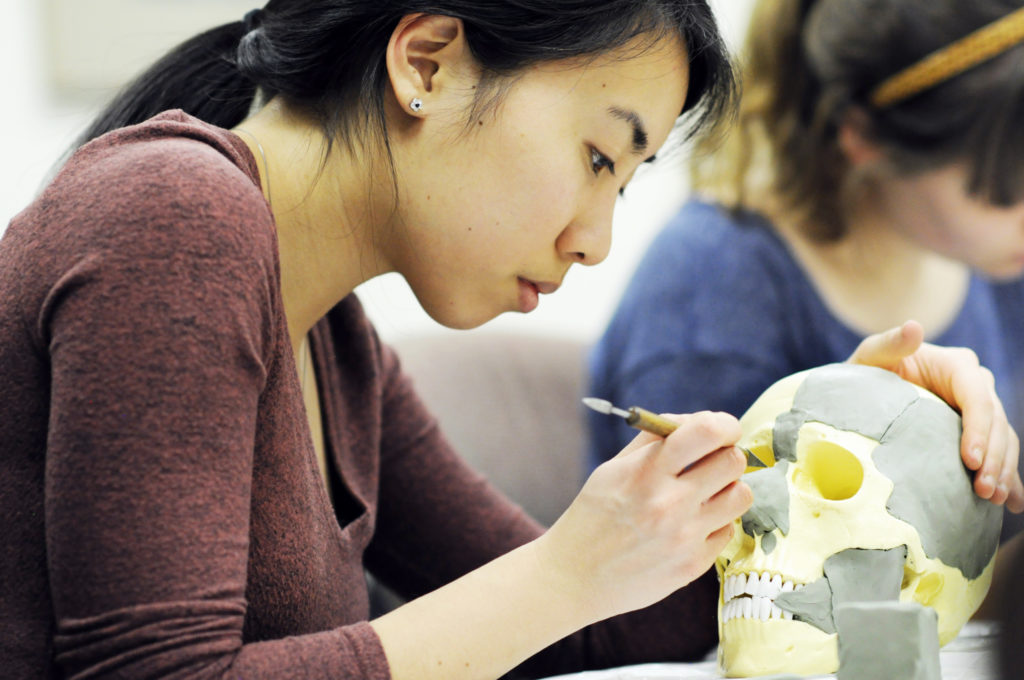 In the seminar Head Ecorche: The Anatomy of Portraiture, students learn to construct their own anatomical sculpture using a life-size artificial skull.