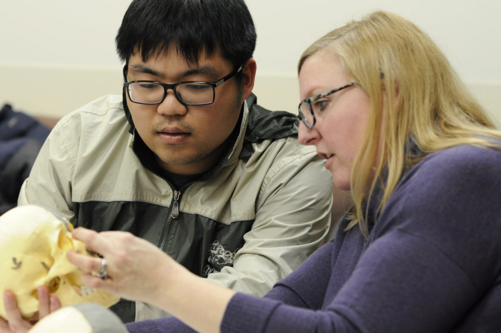 By using clay, students develop a three-dimensional understanding of how to sculpt forms in space. Melinda Whitmore, MFA, course instructor, lectures students on how facial muscles govern facial structure and expression.