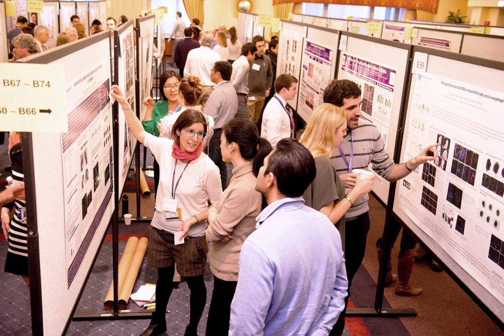 Scientists, clinicians, students and staff presented more than 400 research projects at the 13th Annual Lewis Landsberg Research Day.