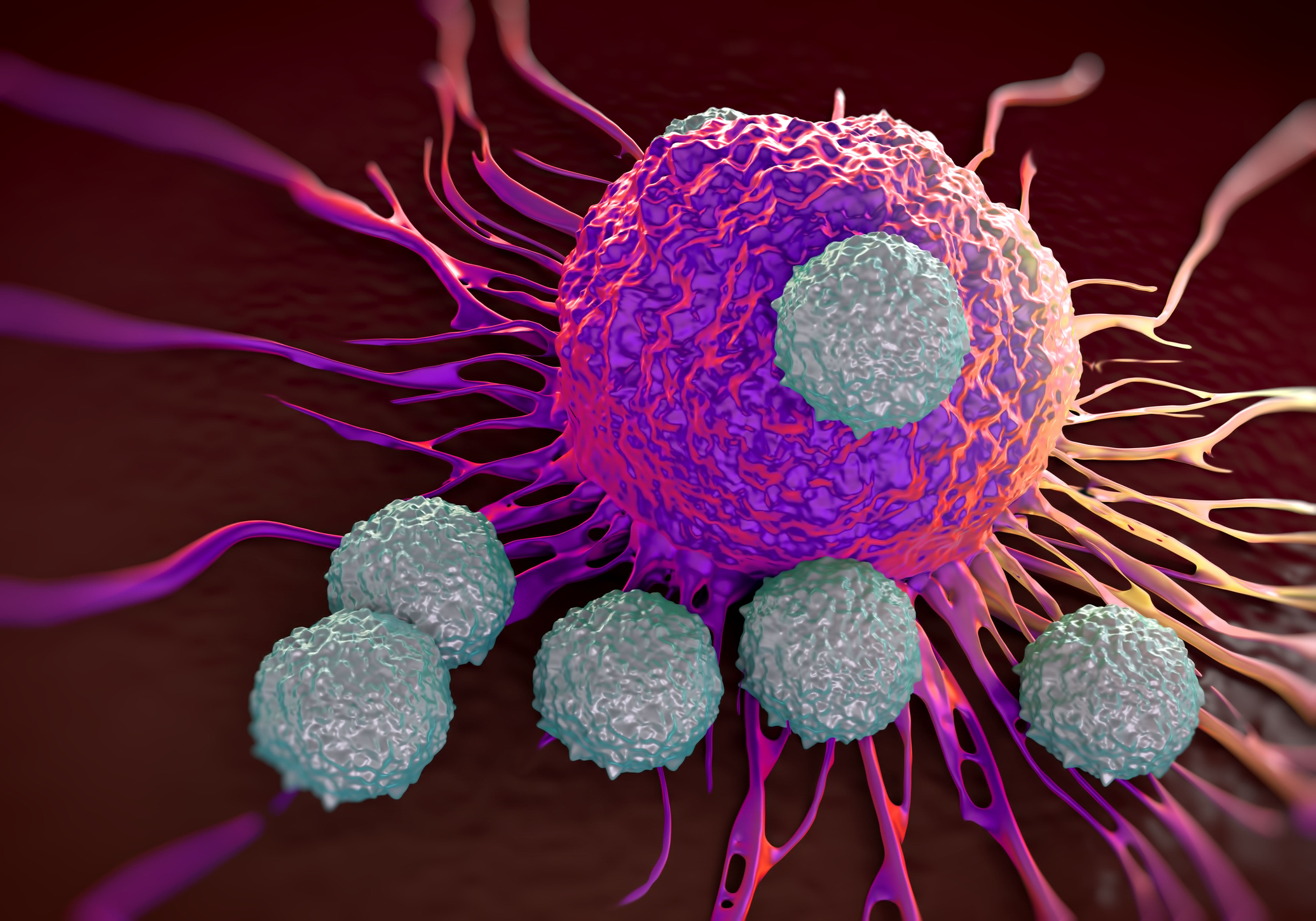 Why Black Men’s Prostate Cancer May be More Responsive to Immunotherapy