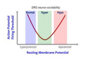 A U-shaped figure demonstrates the relationship between the action potential triggering point in the neuron and the membrane voltage. A mild gain-of-function mutation shows on the descending limb of the U, lowering the threshold for generating an electrical impulse, and resulting in increased sensitivity to pain. On the opposite side, a more extreme gain-of-function in the sodium channel leads to depolarization and a lack of ability to fire pain signals.