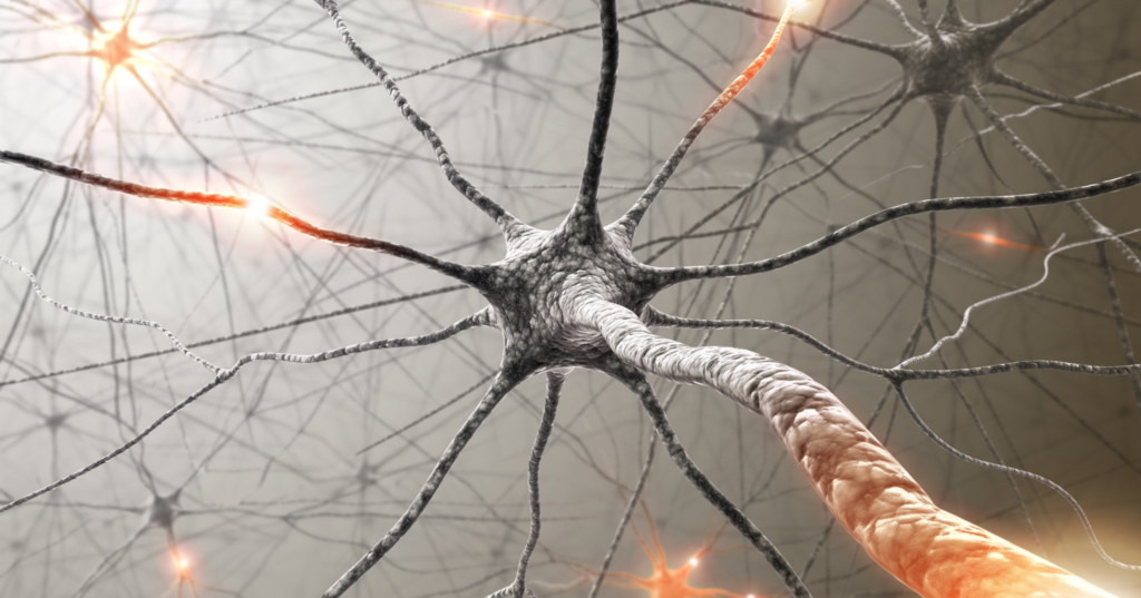 Illustration of neurons and synapses.