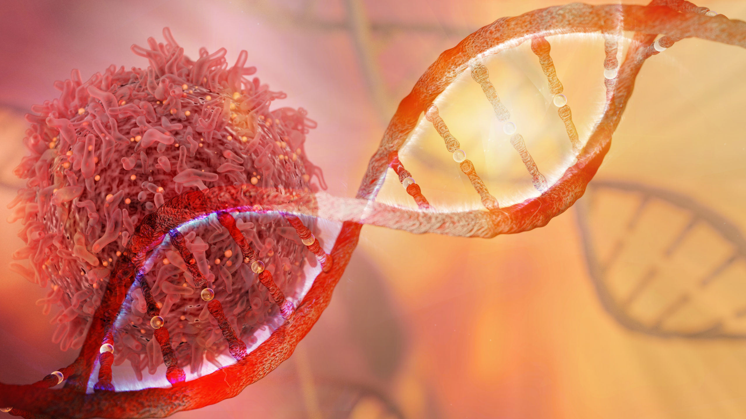 Scientists Identify Genetic Drivers of Common Lymphoma