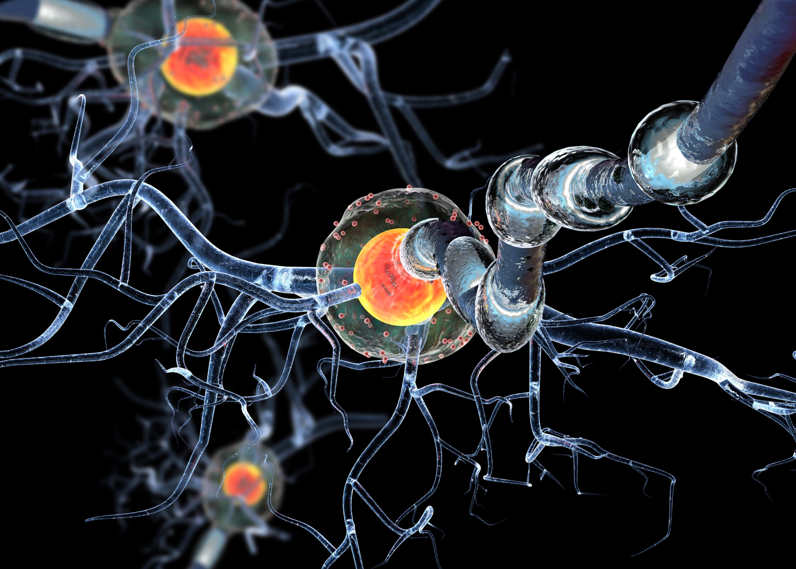 Testosterone-linked Molecule Explains Gender Differences in MS