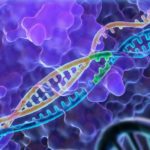 Study Identifies New Mechanisms Driving Genomic Instability