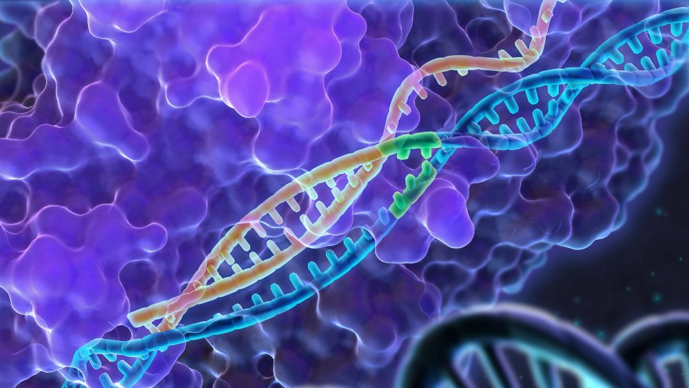 The CRISPR Revolution