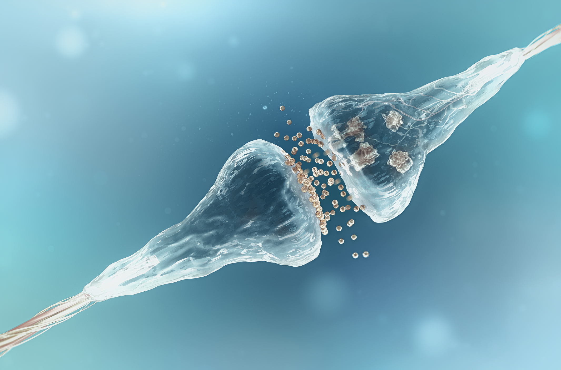 Stem Cell Transplants Improve on Current MS Treatments