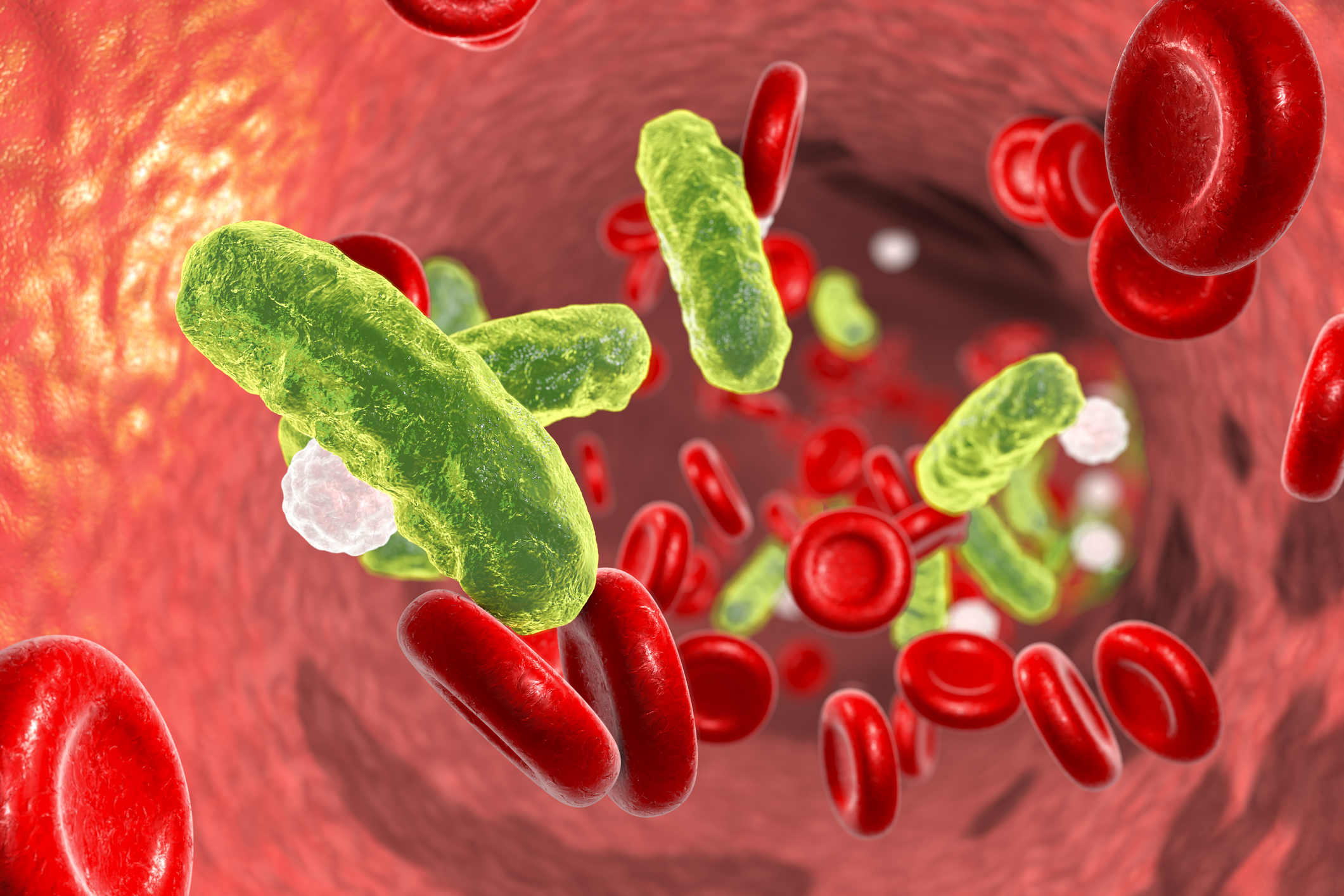 Scientists Discover Novel Treatment Target for Sepsis