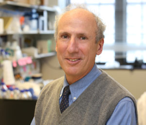 Robert Kalb, MD, the Joan and Paul Rubschlager Professor of Neurology, chief of Neuromuscular Disease in the Department of Ken and Ruth Davee Department of Neurology and director of the Les Turner ALS Center